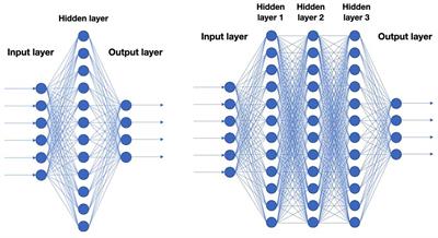 Quantification of Osteoclasts in Culture, Powered by Machine Learning